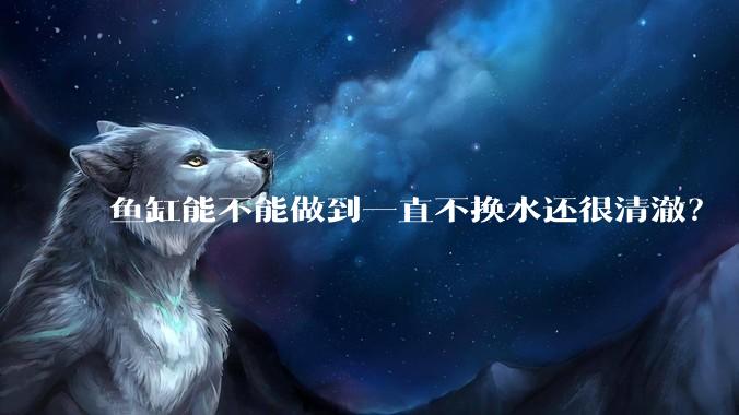 鱼缸能不能做到一直不换水还很清澈？