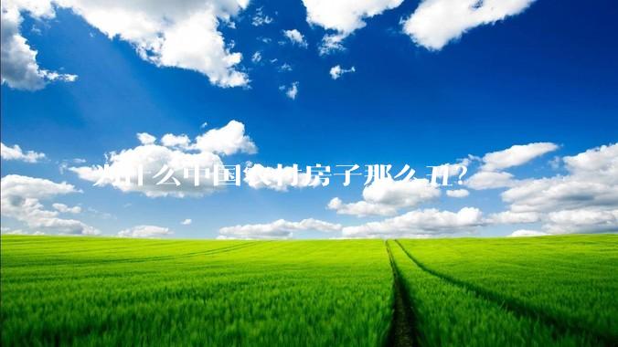 为什么中国农村房子那么丑？