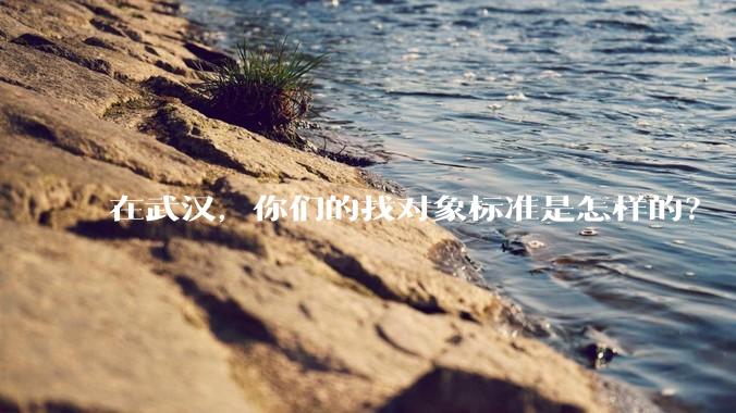 在武汉，你们的找对象标准是怎样的？