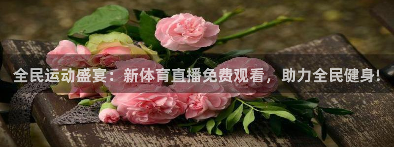 全民运动盛宴：新体育直播免费观看，助力全民健身!